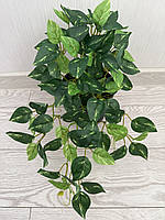 Штучний філодендрон / потос ампельний ( латекс , 50 см ), фото 8
