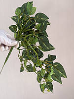 Штучний філодендрон / потос ампельний ( латекс , 50 см ), фото 4