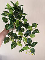 Штучний філодендрон / потос ампельний ( латекс , 50 см ), фото 5