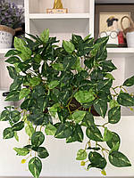 Штучний філодендрон / потос ампельний ( латекс , 50 см ), фото 3