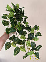 Штучний філодендрон / потос ампельний ( латекс , 50 см ), фото 6