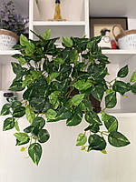 Штучний філодендрон / потос ампельний ( латекс , 50 см ), фото 2