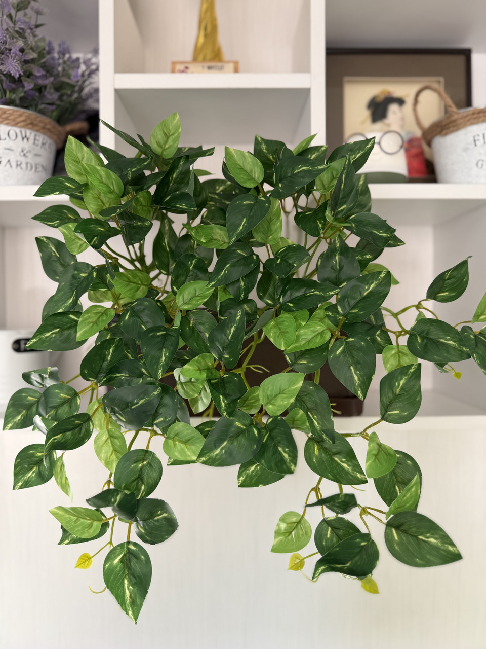 Штучний філодендрон / потос ампельний ( латекс , 50 см ), фото 1