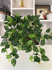 Штучний філодендрон / потос ампельний ( латекс , 50 см )