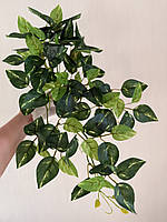 Штучний філодендрон / потос ампельний ( латекс , 50 см ), фото 10