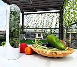 Ємність для зберігання зелені та овочів 800 мл із корком із силікону, білий, фото 4