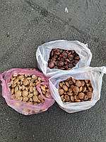 Ручка дерев'яна для меблів GP 05 30мм