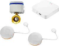 Умный комплект защиты от протечек воды 1DAL StandartKit 1/2" (STKT12)