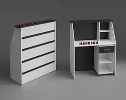 Ресепшн М300