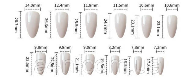 Размеры накладных ногтей