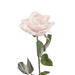 Новорічна троянда 74 см рожева Solar Moon