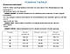 Жіноча демісезонна куртка, 52р., див.заміри в описі - фото 10 - id-p2671376983