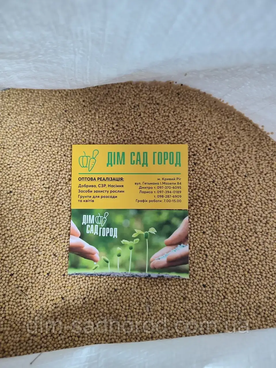 Насіння Гірчиця біла сидератна культура (сидерат) на вагу від 1 кг, фото 1