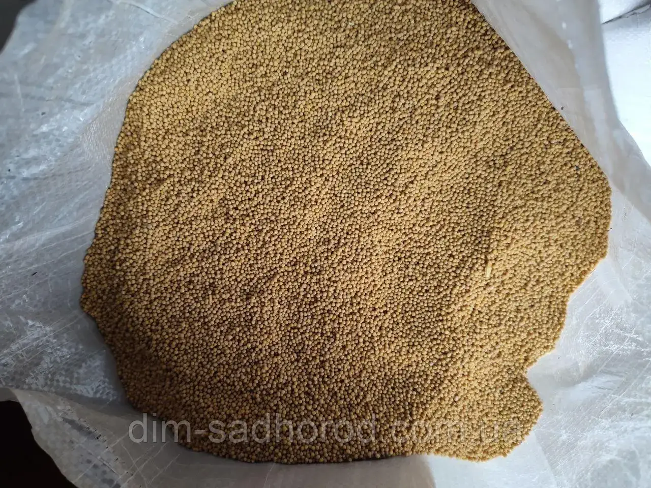 Гірчиця 10 кг, фото 1