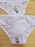 Білі трусики "Donella" для дівчат 8/9 років; Гурт. Туреччина, фото 2