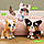 ​Інтерактивна іграшка FurReal Friends Walk-A-Lots Бернедудель, фото 6
