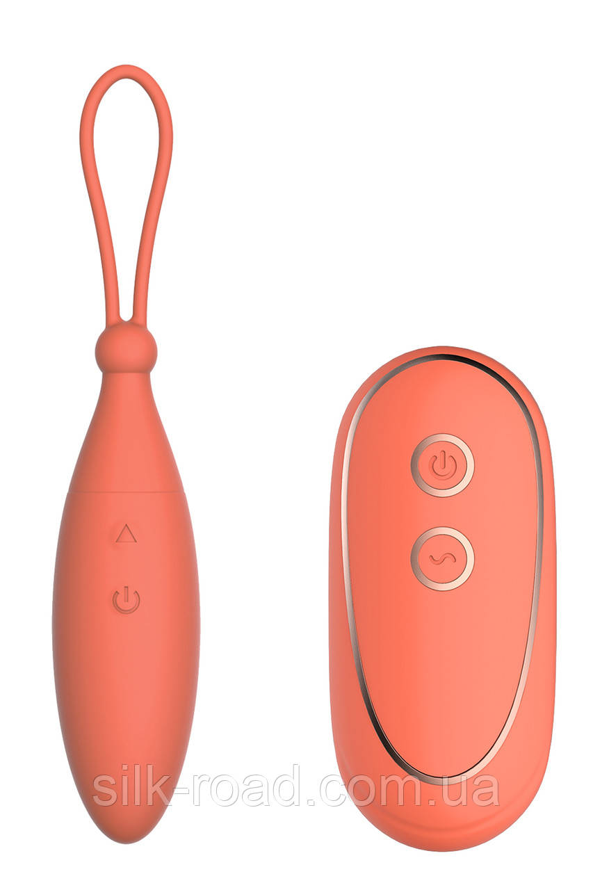 Віброяйце з дистанційним управлінням Dream Toys CHARISMATIC CELIA