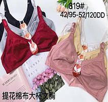 Напівбатальні бюстгальтери D третя Чашка ліфчики (819D)