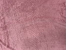 Вельвет-корд Пудра, фото 2
