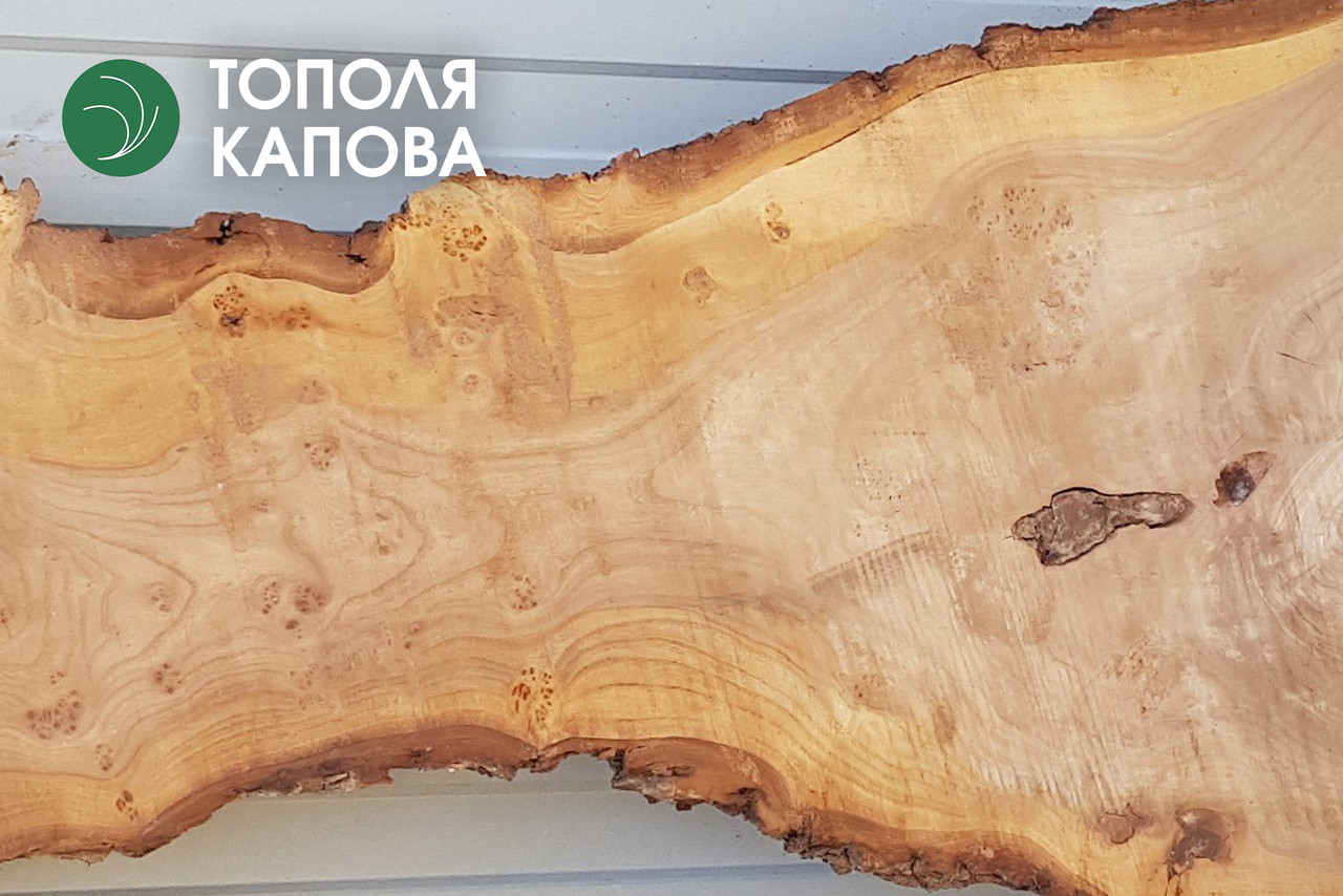 Дошка необрізна капової (чорної) тополі 52 мм, екстра ґатунок
