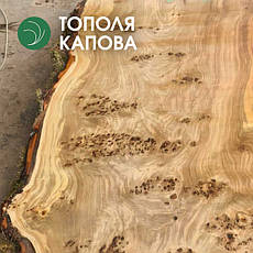 Дошка з тополі капової