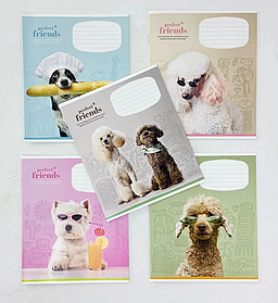 Зошит 12 аркушів У косу лінію Perfect friends (3250(12кл)) Школярик