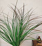 Трава берграс 50см. Зелена з коричневим, фото 2