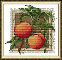 Набір для вишивання за нанесеною на канву схемою «Red Apricot». AIDA 14CT printed , 21*20 см