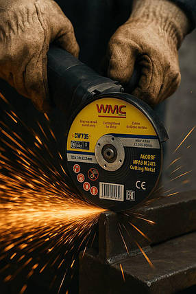Набір кругів відрізних по металу 125x1.0x22.2мм (10шт) WMC TOOLS WT-CW705(10), фото 2