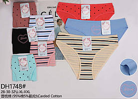 Труси дитячі, трусики "Любіма сім'я" для дівчаток 12-16 років (1748)