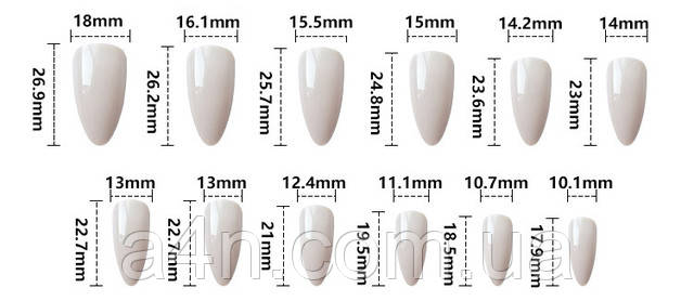Размеры накладных ногтей