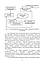 Бухгалтерський облік у виробничих та агросервісних кооперативах:, фото 8