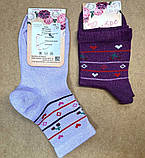 Шкарпетки підліткові жіночі класичні стрейч "Мікс" 19-21 р. (12 пар!) (Демісезонні), фото 2