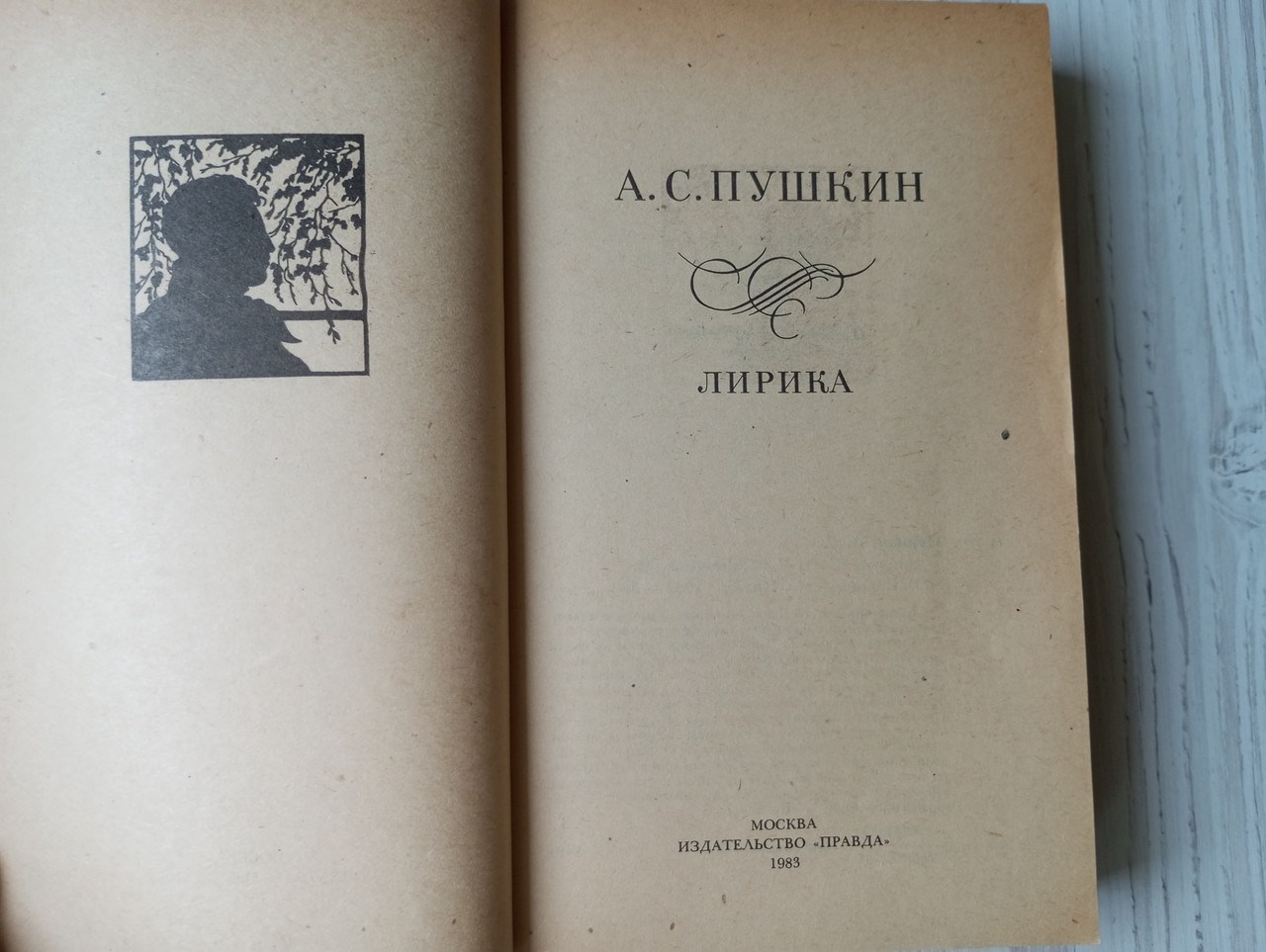 Product image preview