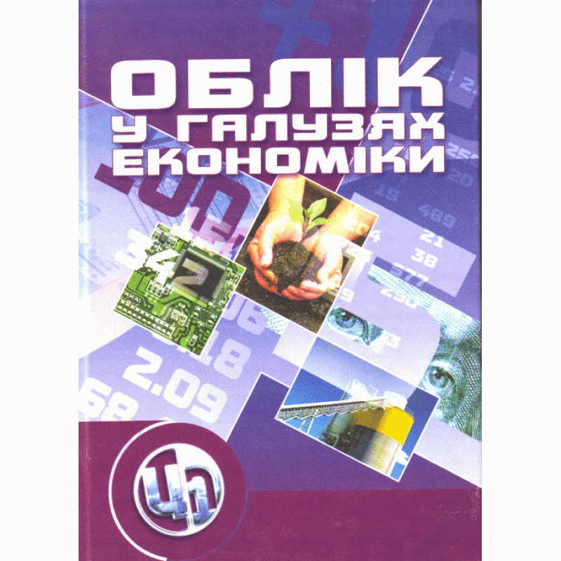 Облік у галузях економіки, фото 1