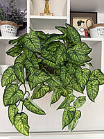 Штучний ампельний сингоніум . Розліна для декору ( латекс, 56 см), фото 10