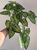 Штучний ампельний сингоніум . Розліна для декору ( латекс, 56 см), фото 3