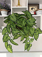 Штучний ампельний сингоніум . Розліна для декору ( латекс, 56 см), фото 5
