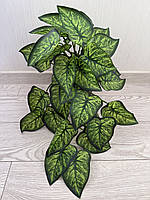 Штучний ампельний сингоніум . Розліна для декору ( латекс, 56 см), фото 9