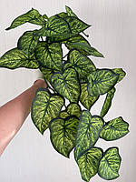 Штучний ампельний сингоніум . Розліна для декору ( латекс, 56 см), фото 4