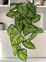 Штучний ампельний сингоніум . Розліна для декору ( латекс, 56 см), фото 2