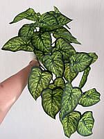 Штучний ампельний сингоніум . Розліна для декору ( латекс, 56 см), фото 6