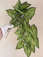 Штучний ампельний сингоніум . Розліна для декору ( латекс, 56 см), фото 7