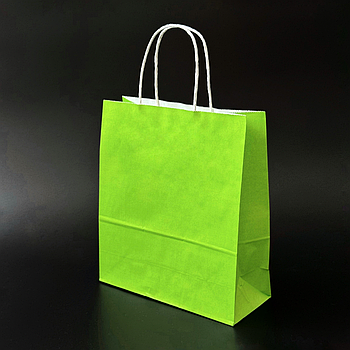 Пакет паперовий 20х8х24 см Салатовий з ручками 100 г/м