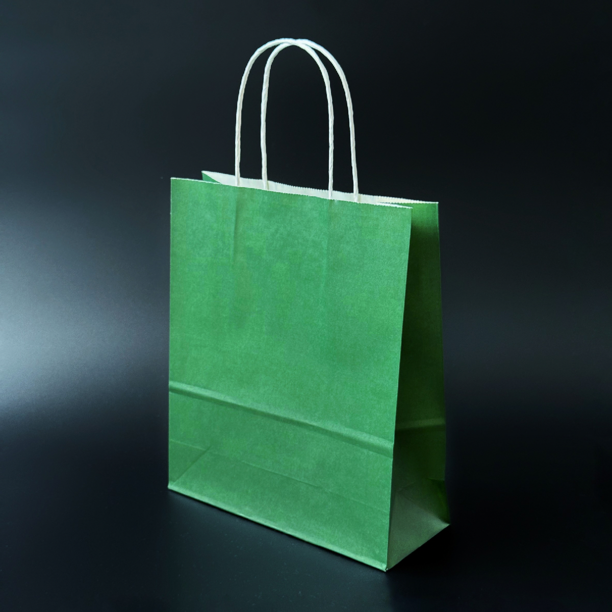 Пакет паперовий 20х8х24 см Зелений з ручками 100 г/м, фото 1