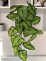 Штучний ампельний сингоніум . Розліна для декору ( латекс, 56 см), фото 8