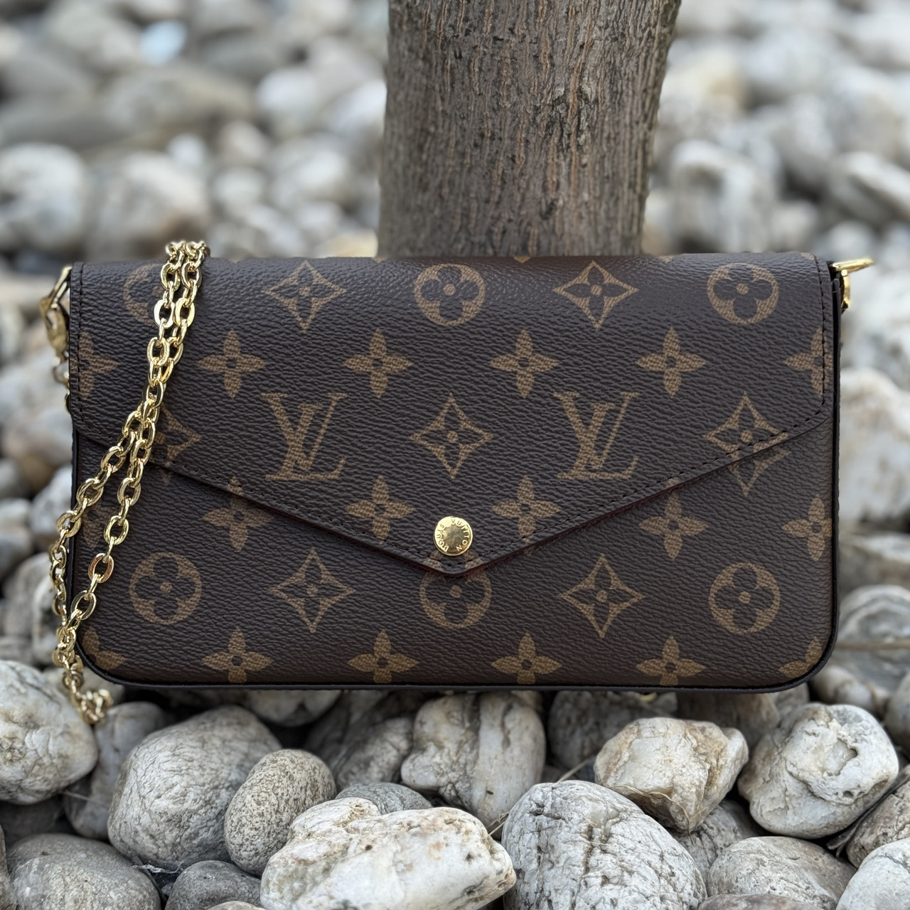 Жіночій клатч Louis Vuitton Pochette Felicie Monogram (Луї Вітон Пошет Феліція)