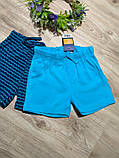 Дитячі шорти (набір) Lupilu на хлопчика р.62-68, фото 4