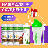 Набір для похудання "Мінус КГ" Гербалайф детокс програма білковий коктейль жироспалювачі таблетки + Шейкер з ложкою в подарунок