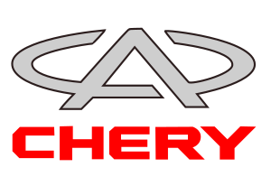 Екошкіра килимки з бортиками в салон для Chery